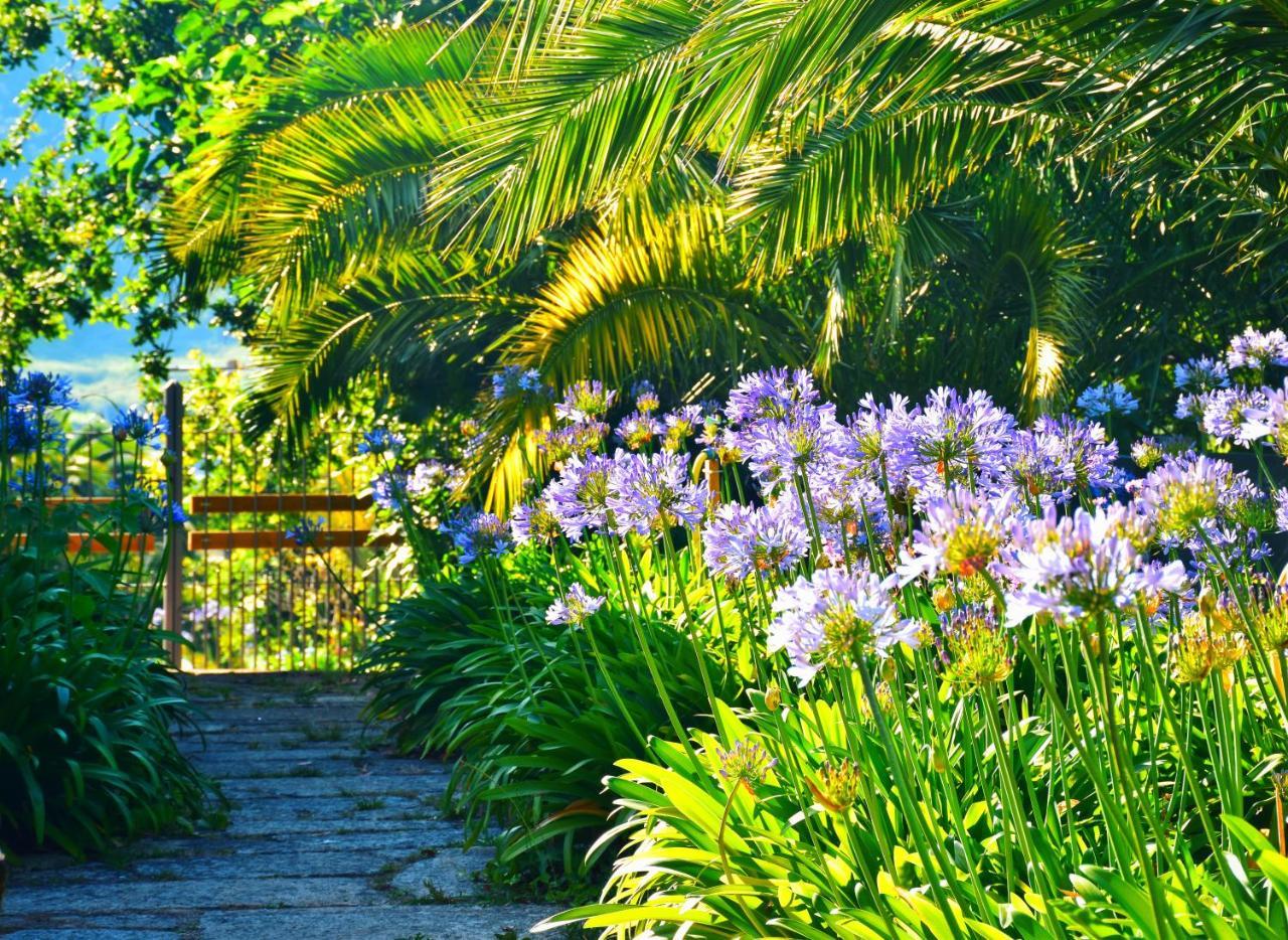 Quinta De San Amaro Rias Baixas Hotel Meano Exterior photo